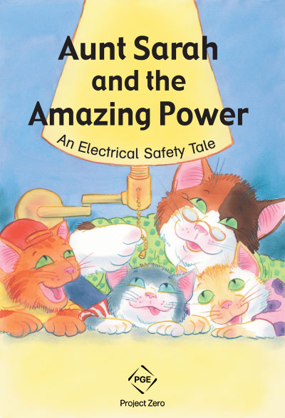 36416 Aunt Sarah the Amazing Power An Elect Safety Tale