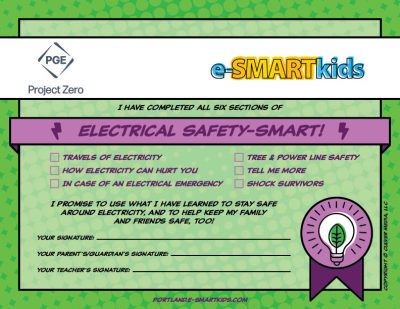 Electrical Safety-SMART certificate